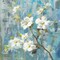 Graceful Magnolia II Poster Print by Danhui Nai - Item # VARPDX13357